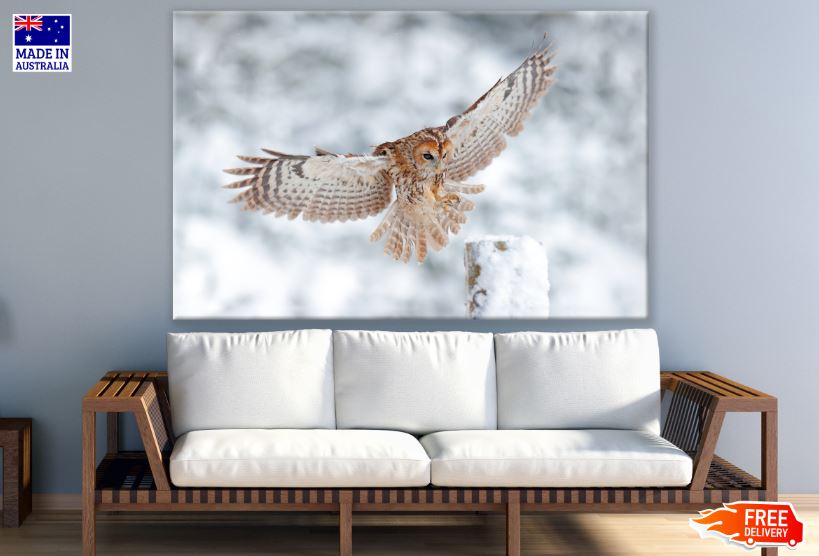 Flying Owl in Snow Forest Photograph Print 100% Australian Made