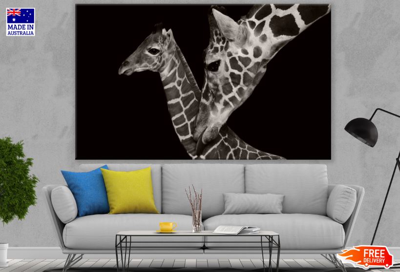 Giraffe & Baby Portrait B&W Photograph Print 100% Australian Made