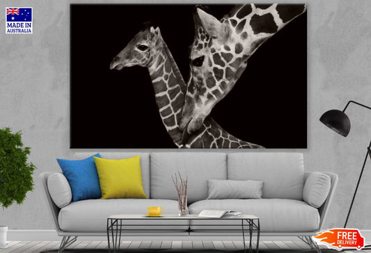 Giraffe & Baby Portrait B&W Photograph Print 100% Australian Made