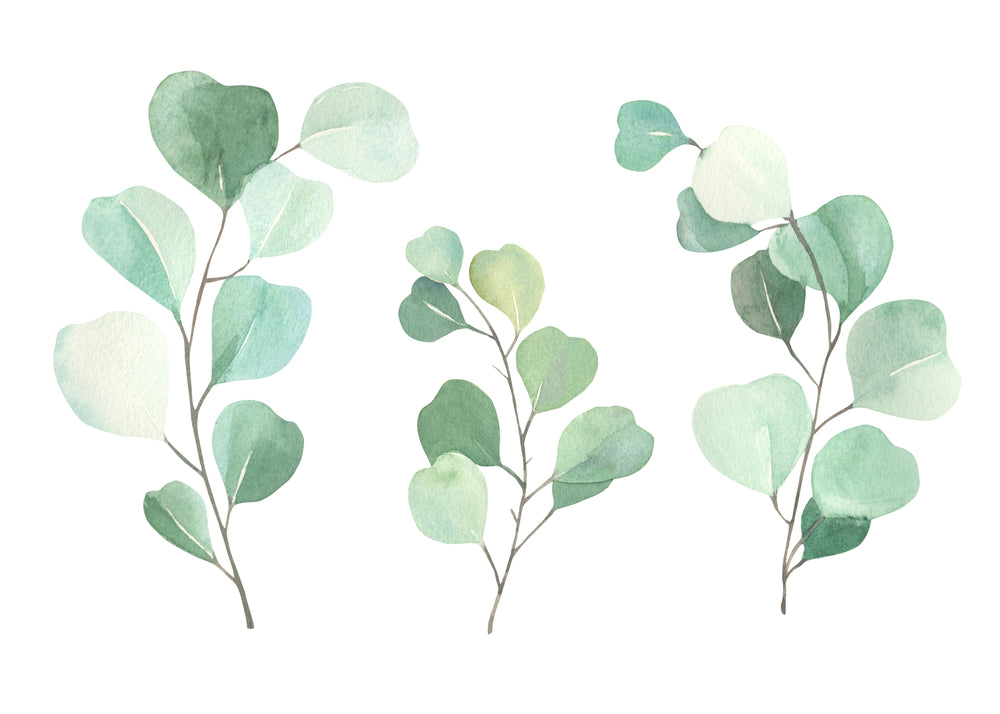 Small Plants Watercolor Painting Print 100% Australian Made