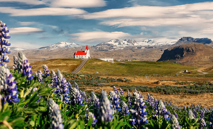House on Meadow Scenery View Print 100% Australian Made