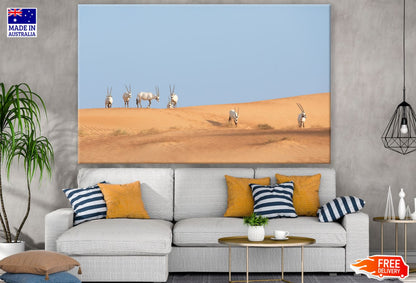Deers on Desert Scenery View View Print 100% Australian Made