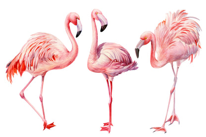Flamingo Birds Watercolor Painting Print 100% Australian Made