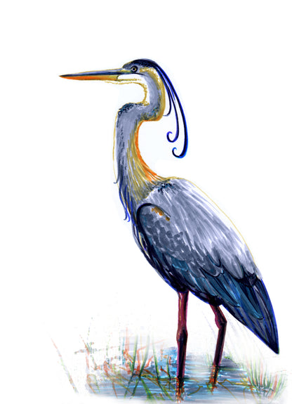 Grey Heron Watercolor Painting Print 100% Australian Made
