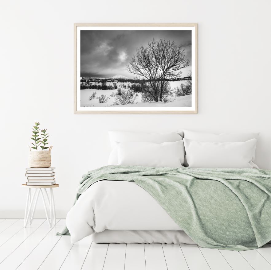 Trees in Snow B&W Photograph Home Decor Premium Quality Poster Print Choose Your Sizes