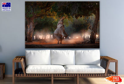 Elephant Standing in Forest Photograph Print 100% Australian Made
