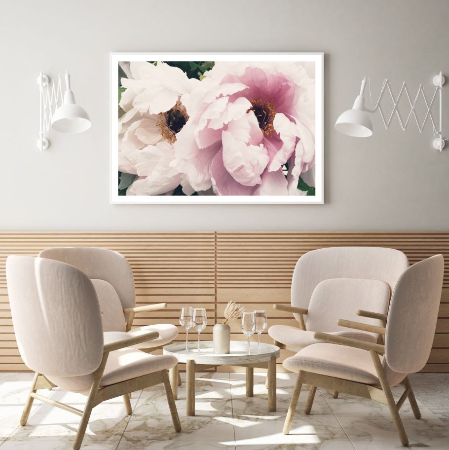 Pink & White Flowers Closeup View Home Decor Premium Quality Poster Print Choose Your Sizes