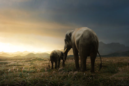 Elephant & Calf at Sunset Scenery Photograph Print 100% Australian Made