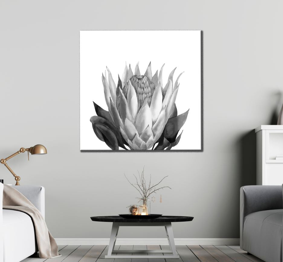 Square Canvas Flower Closeup B&W Photograph High Quality Print 100% Australian Made