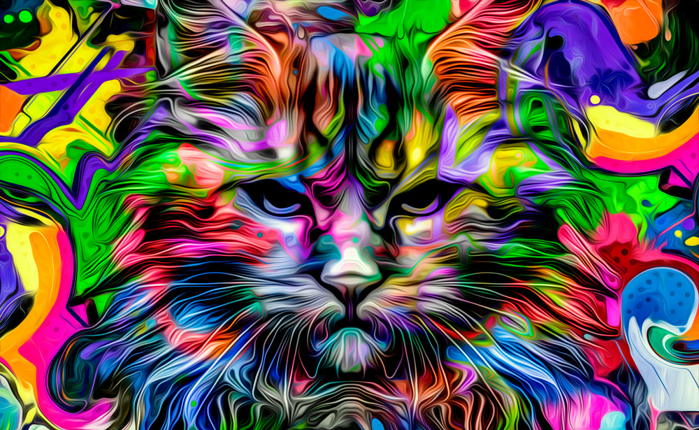 Colorful Abstract Cat Portrait Print 100% Australian Made