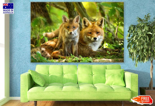 Fox & Cub Portrait Photograph Print 100% Australian Made