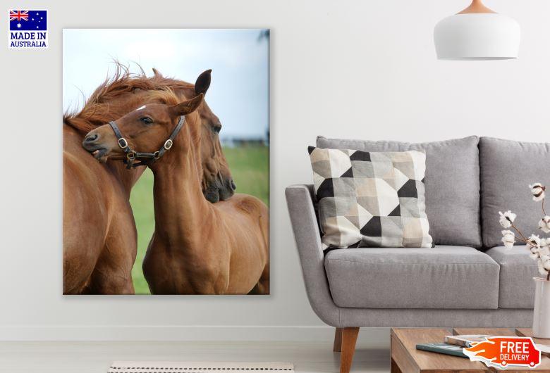 Horse & Foal Faces Photograph Print 100% Australian Made