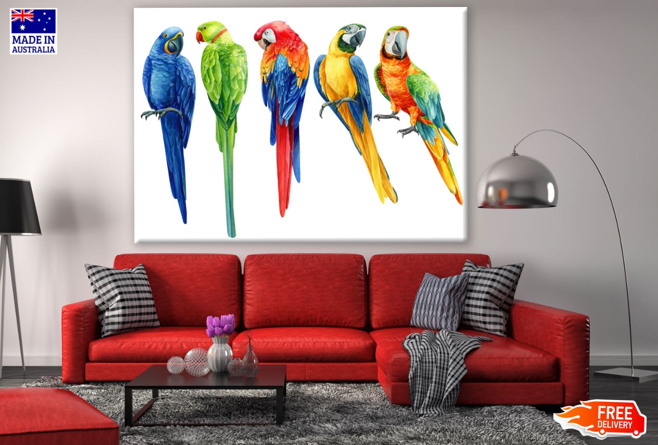 Colorful Parrots Watercolor Paint Print 100% Australian Made