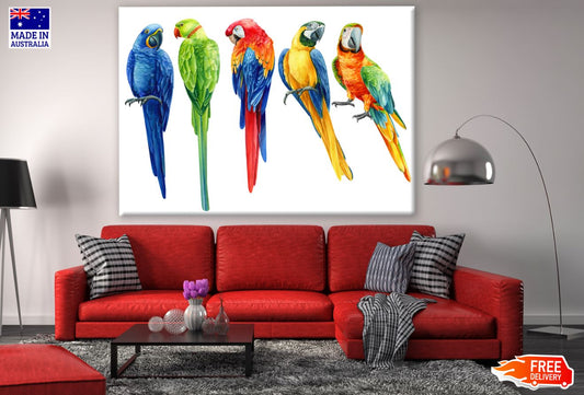 Colorful Parrots Watercolor Paint Print 100% Australian Made