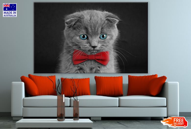 Grey Kitten with Red Bow & Blue Eyes Photograph Print 100% Australian Made