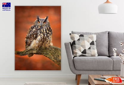Owl on Tree Branch Photograph Print 100% Australian Made