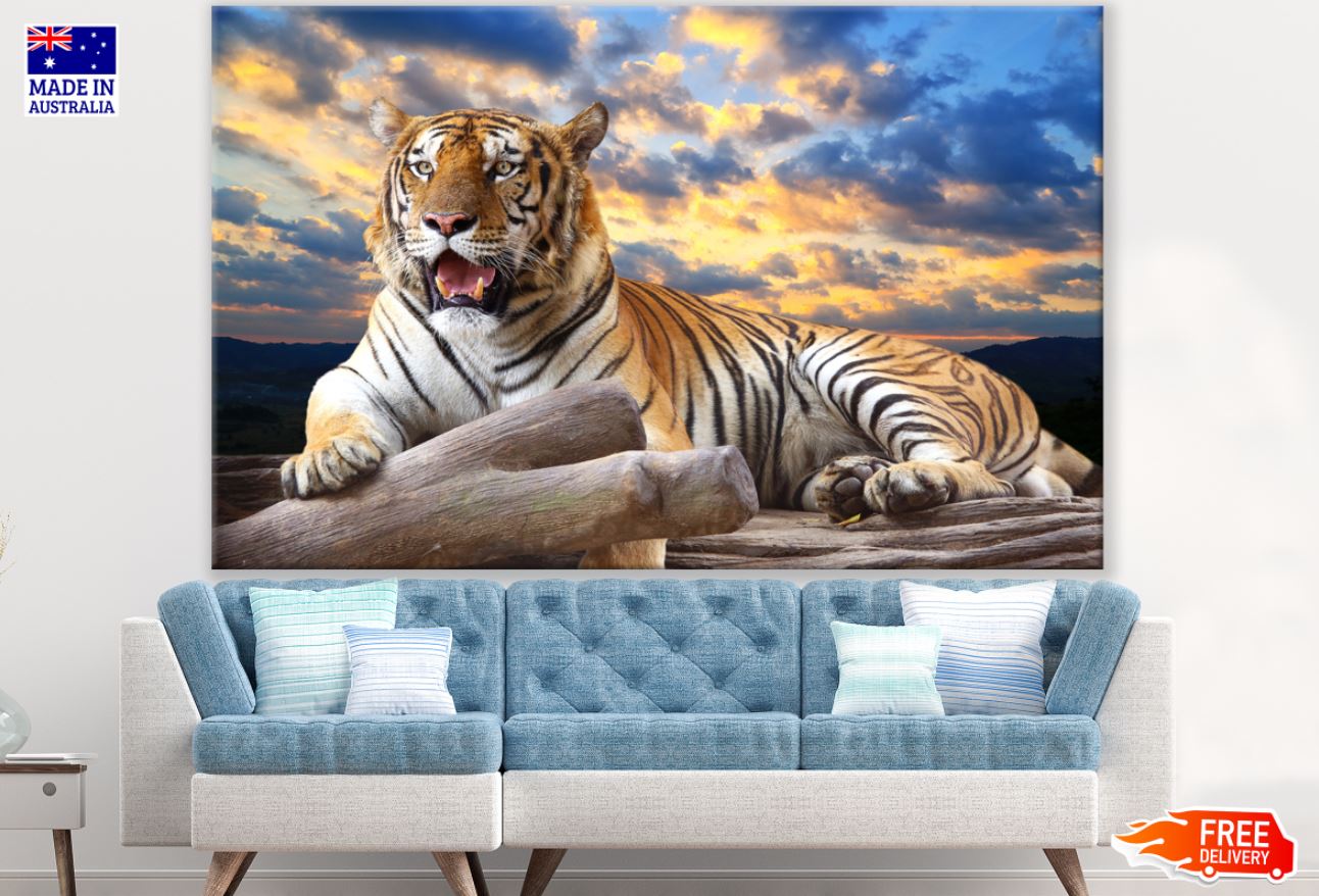 Tiger Sitting on Trunk Photograph Print 100% Australian Made