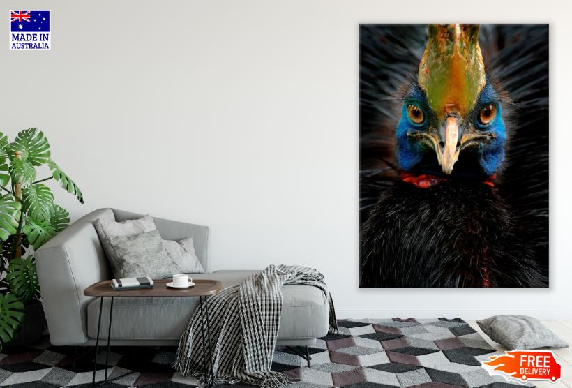 Double-wattled Cassowary Bird Portrait Photograph Print 100% Australian Made