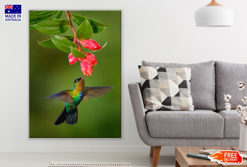 Humming Bird & Flowers Photograph Print 100% Australian Made