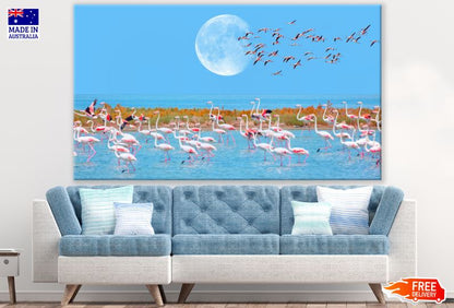 Flemingo Birds walking on a Lake Photograph Print 100% Australian Made