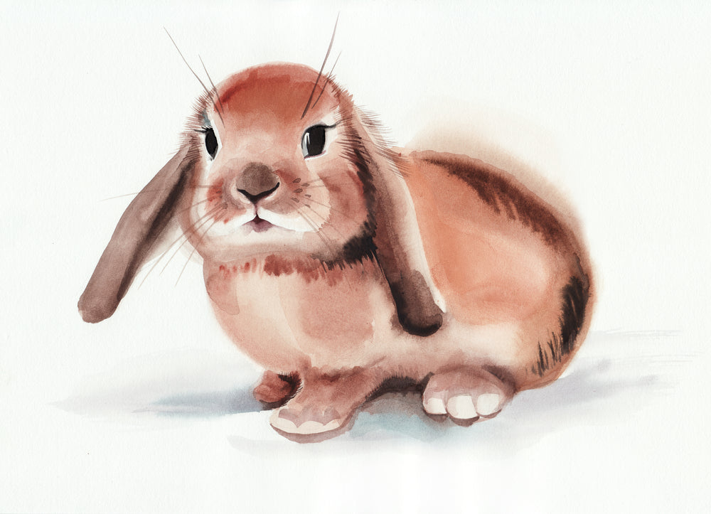 Rabbit Watercolor Painting Print 100% Australian Made