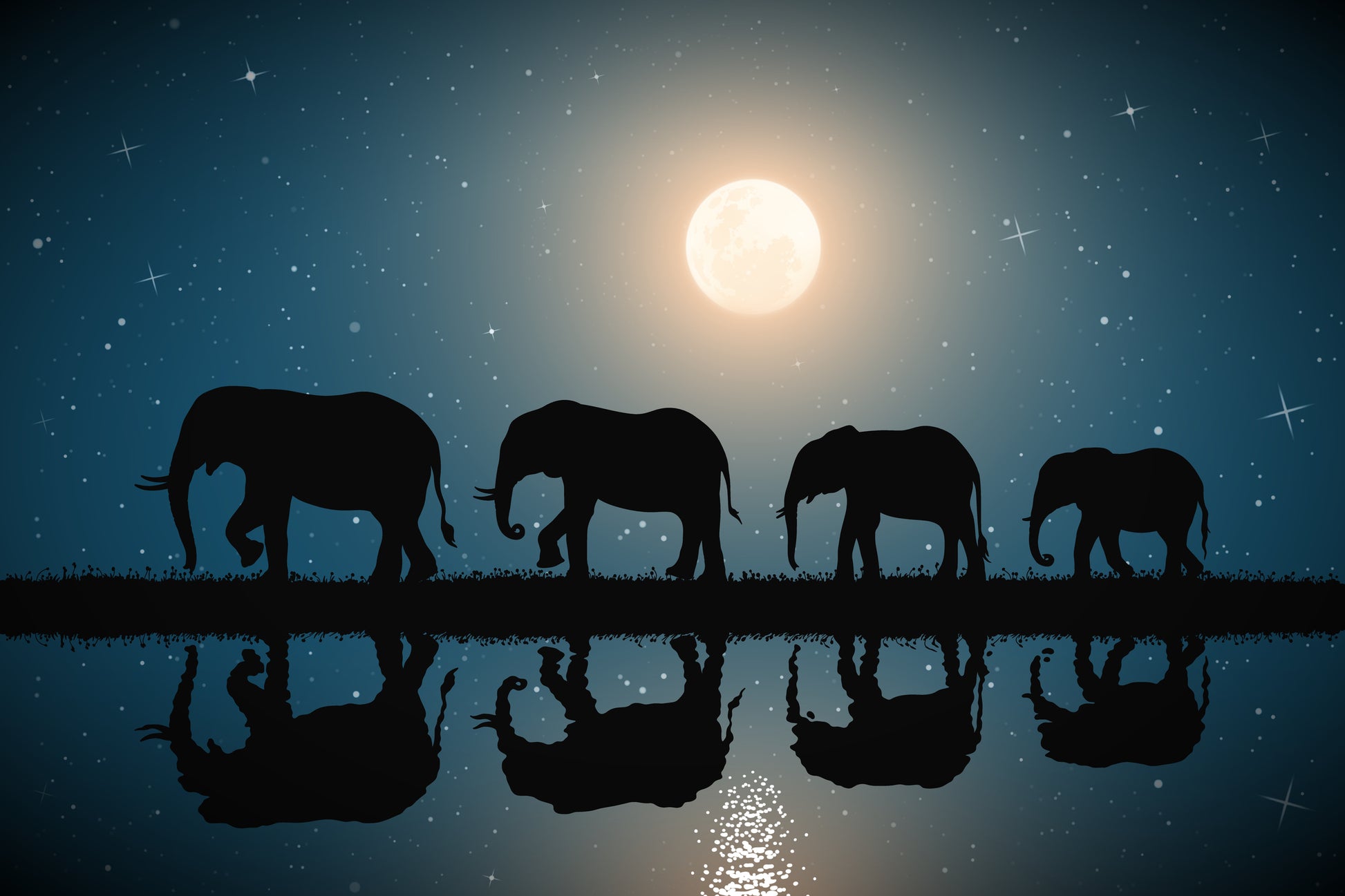 Elephant Walking Near Lake at Night Scenery Print 100% Australian Made
