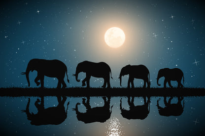 Elephant Walking Near Lake at Night Scenery Print 100% Australian Made