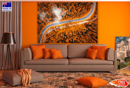 Road in Pine Tree Forest Aerial Print 100% Australian Made