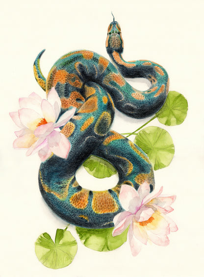 Green Snake with Lotus Flowers Watercolor Painting Print 100% Australian Made