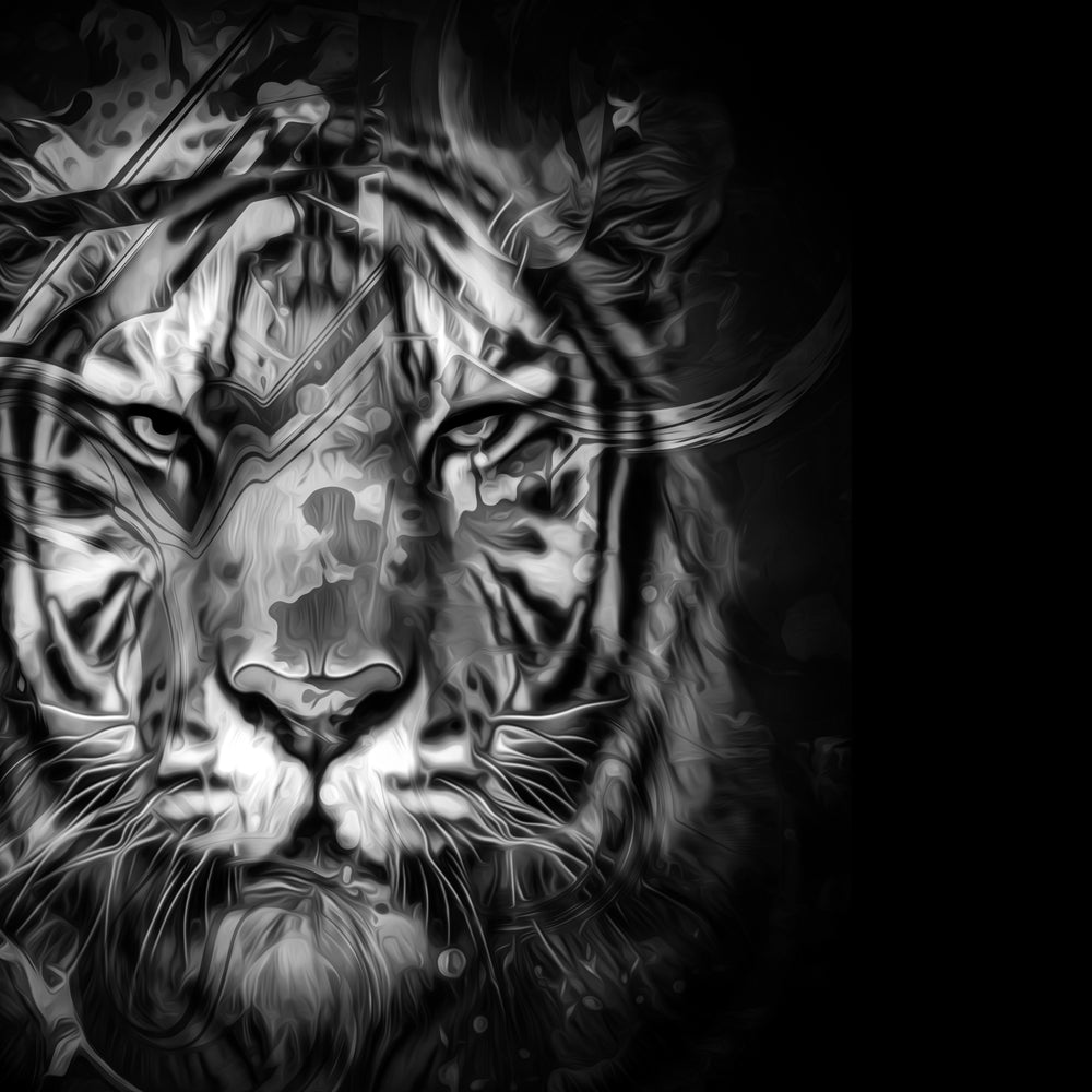 Square Canvas Tiger Portrait B&W Design High Quality Print 100% Australian Made