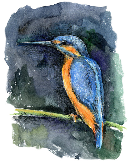 Kingfisher Bird Watercolor Painting Print 100% Australian Made