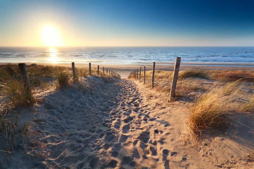 Foot Path to Sea Scenery View Home Decor Premium Quality Poster Print Choose Your Sizes