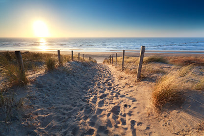 Foot Path to Sea Scenery View Home Decor Premium Quality Poster Print Choose Your Sizes