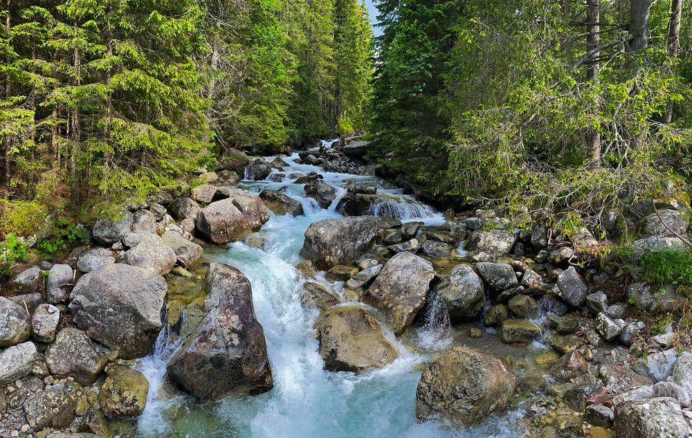 Waterfall in Forest Scenery Photograph Print 100% Australian Made