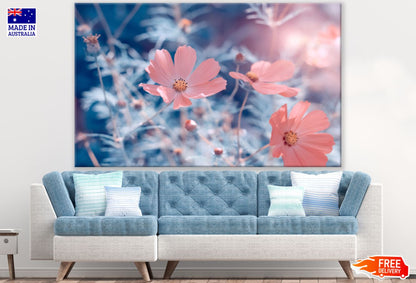 Flower Plant Closeup Photograph Print 100% Australian Made