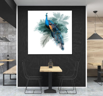 Square Canvas Peacock Watercolor Painting High Quality Print 100% Australian Made