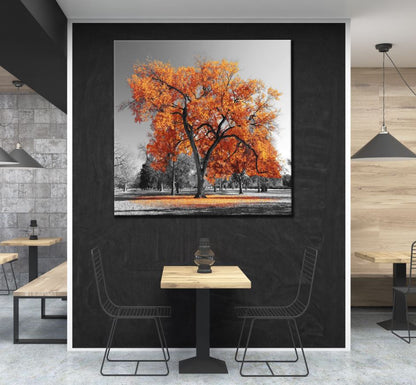 Square Canvas Autumn Tree Photograph High Quality Print 100% Australian Made