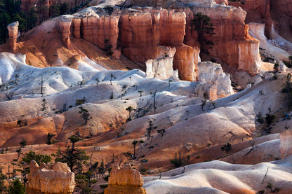 Scenic Canyon Landscape Photograph Print 100% Australian Made