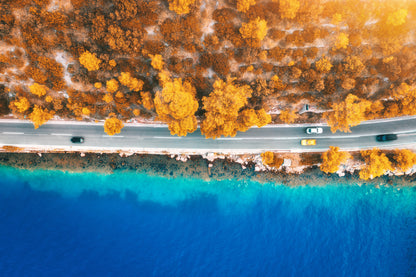 Road , Forest & Sea Aerial View Print 100% Australian Made