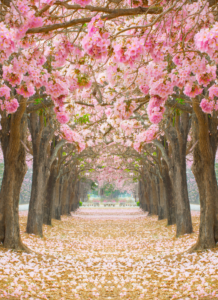 Pink Flower Trees Road Photograph Print 100% Australian Made