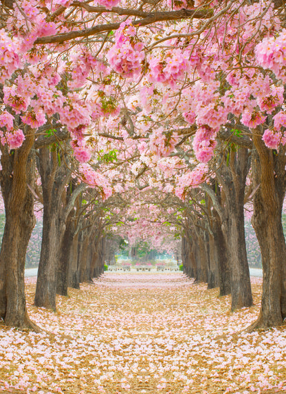 Pink Flower Trees Road Photograph Print 100% Australian Made