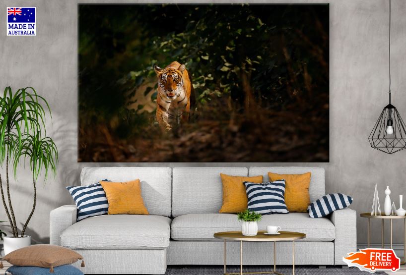 Tiger in Forest Photograph Print 100% Australian Made