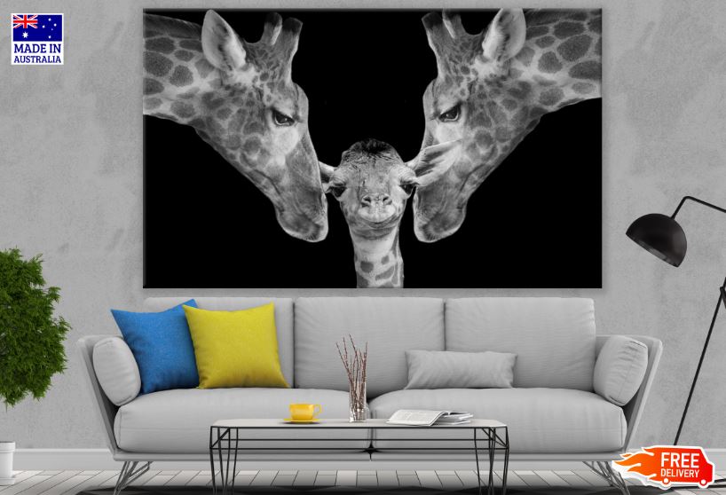 Giraffe Pair & Baby Portrait B&W Photograph Print 100% Australian Made