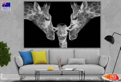 Giraffe Pair & Baby Portrait B&W Photograph Print 100% Australian Made