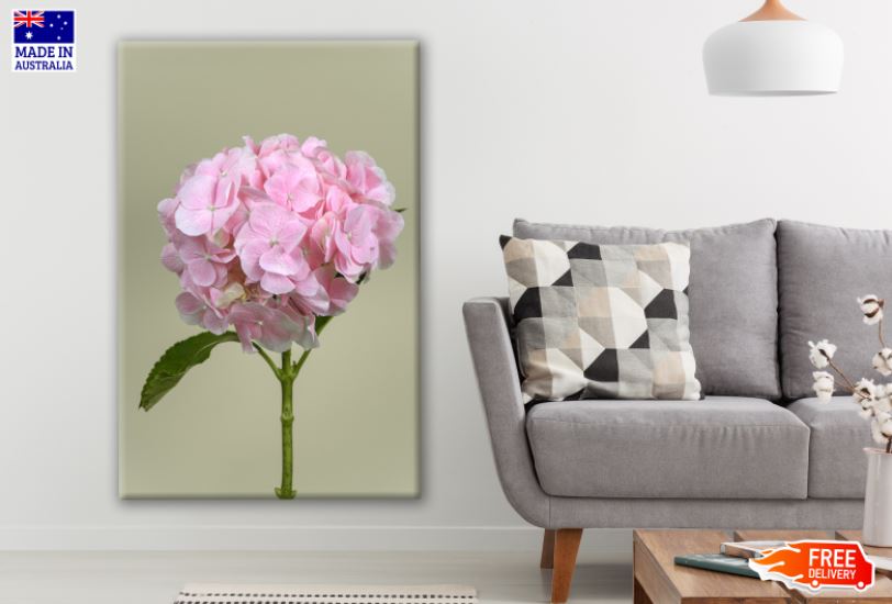 Pink Hydrangea Flowers Plant Photograph Print 100% Australian Made