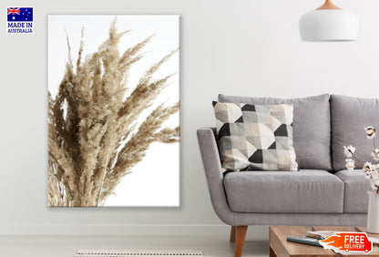 Dry Grass Closeup Photograph Print 100% Australian Made