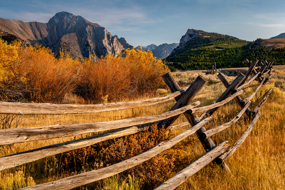 Autumn Field Scenery Photograph Home Decor Premium Quality Poster Print Choose Your Sizes