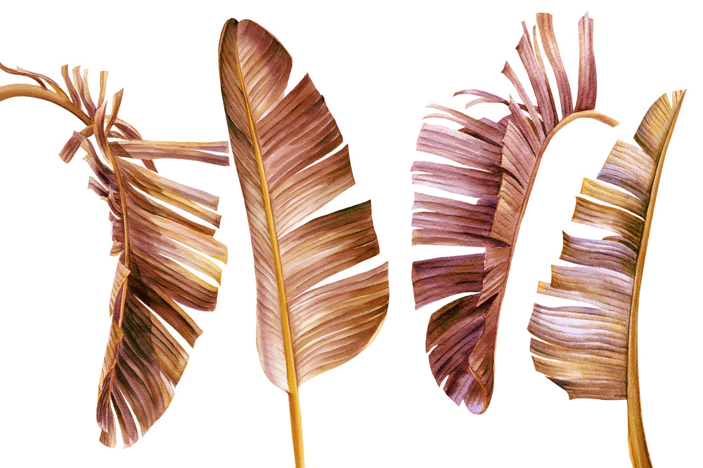 Brown Leaves Watercolor Painting Print 100% Australian Made