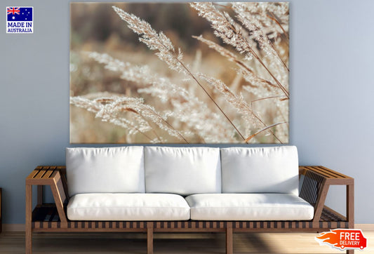 Grass Closeup Photograph Print 100% Australian Made