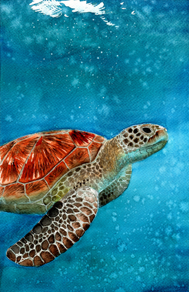 Turtle Under Water Watercolor Painting Print 100% Australian Made
